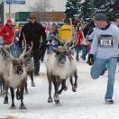 Alaska: Run with the Reindeer & Fly with the Dogs Photo