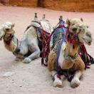 Traveler of the Week Photographs the Middle East Photo