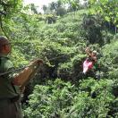 Traveler of the Week Zip-Lines and Zooms in the DR Photo