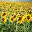 Traveler of the Week Village Hops in Italy & Spain Photo