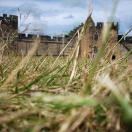 Traveler of the Week Tours a Castle of Movie Fame Photo