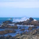 Postcard from Wellington: Southern Surprise Photo