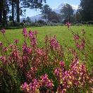 Happy Earth Day! Photo