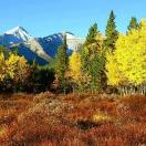 Don't Miss the Maples: Fall Getaways to Canada Photo