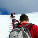 The Intrepid Traveler's Antarctica Checklist Photo