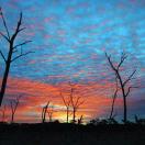 A G'Day To Be an Australian Photo