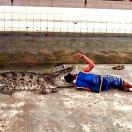 Don't Try This at Home: Wild Vacation Photos Photo