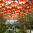 Free or Nearly Free Summer Vacations Photo