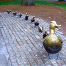 IgoUgo's Week in Travel: Make Way for Boston Photo