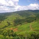 Best Places for Coffee Tourism Photo