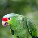 IgoUgo's Week in Travel: Green Is Gold Photo