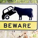 Around the World in Eye-Catching Signs Photo