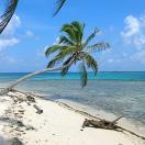 IgoUgo's Week in Travel: Lean Toward the Tropics Photo