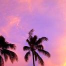 Where to Savor the Post-Holiday Slump Photo