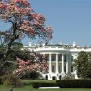 Which Presidential Candidate Is the Best Traveler? Photo