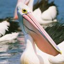 IgoUgo's Week in Travel: The Scoop on Our New Site Photo