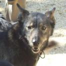 IgoUgo's Best in Show Photo