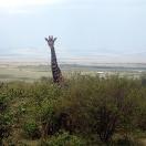 A Humorous Adventurer's Guide to Kenya & Tanzania Photo