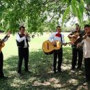 Cinco Activities for Cinco de Mayo Photo