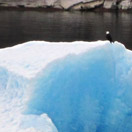 Traveler of the Week Sails North to Alaska Photo