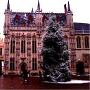 Photos of the Week: Temple Fever Photo