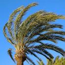 Party Like a Star at the Cannes Film Festival Photo