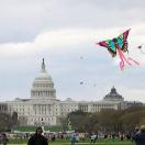 Six New Ways to Celebrate Memorial Day Photo