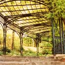 The Hidden Wealth of New York Photo