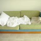 Couch Crasher or Hotel Hound? Photo
