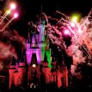 Honorary Traveler of the Week is a Disney Expert Photo