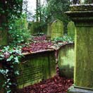 Visiting Graveyards: Stop All The Clocks Photo