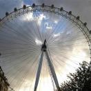 In Your Dreams Photo