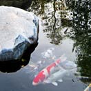 Visit California is Running a Sweepstakes! Photo