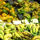 Top 5 Farmers Markets Photo