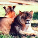 The Best of the Sunshine State Photo