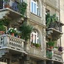 St. Patty's Day Green Photo