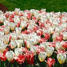 A Year in the Travels of Our Top Photographer Photo