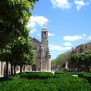 Traveler of the Week in the Land of Liquid Gold Photo