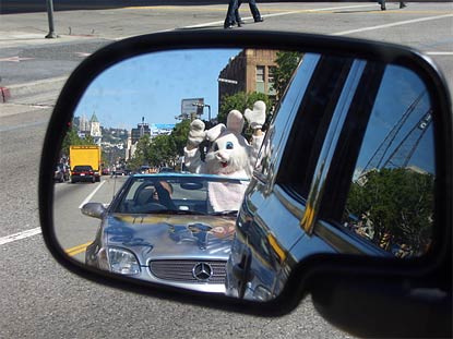 A Little Bunny Froufrou Photo