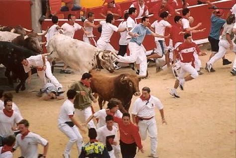 The Insane of IgoUgo Run with the Bulls Photo