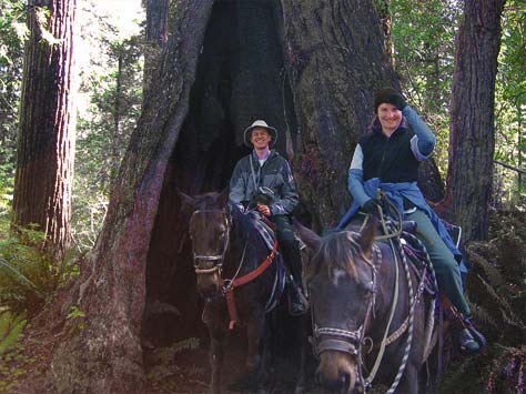 Five Newcomers Share Unique Trips Photo