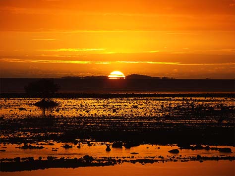 Every Photo's a Trip for Debbietje and nitatravels Photo