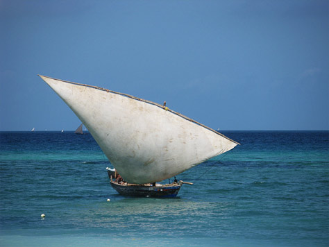 Must-See Trip: nofootprint's Tanzania Adventure Photo