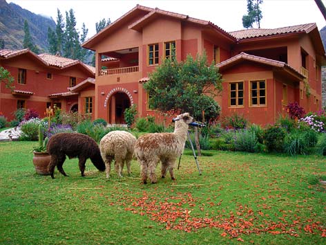 Photos of the Week: Warm and Wild Photo