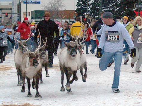 Alaska: Run with the Reindeer & Fly with the Dogs Photo