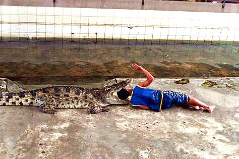 Don't Try This at Home: Wild Vacation Photos Photo