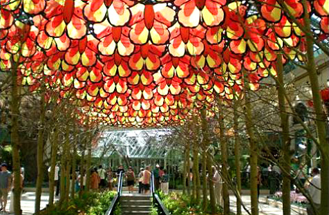 Free or Nearly Free Summer Vacations Photo