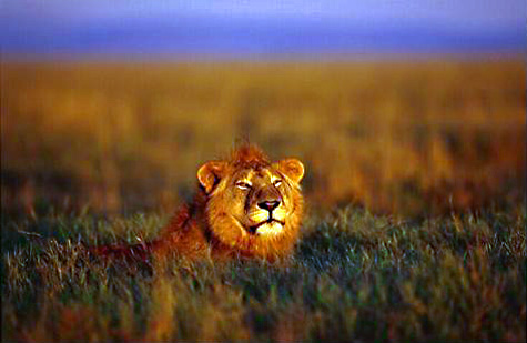 IgoUgo's Week in Travel: Pride of Place Photo