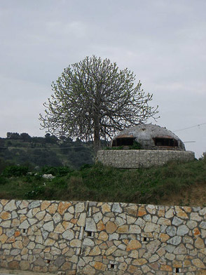 Albania, Top Destination for 2011? Photo