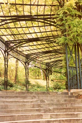 The Hidden Wealth of New York Photo